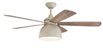 CEILING FANS