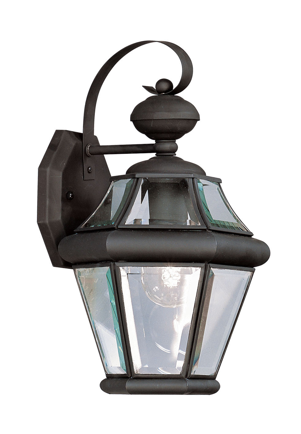 1 Light Black Outdoor Wall Lantern