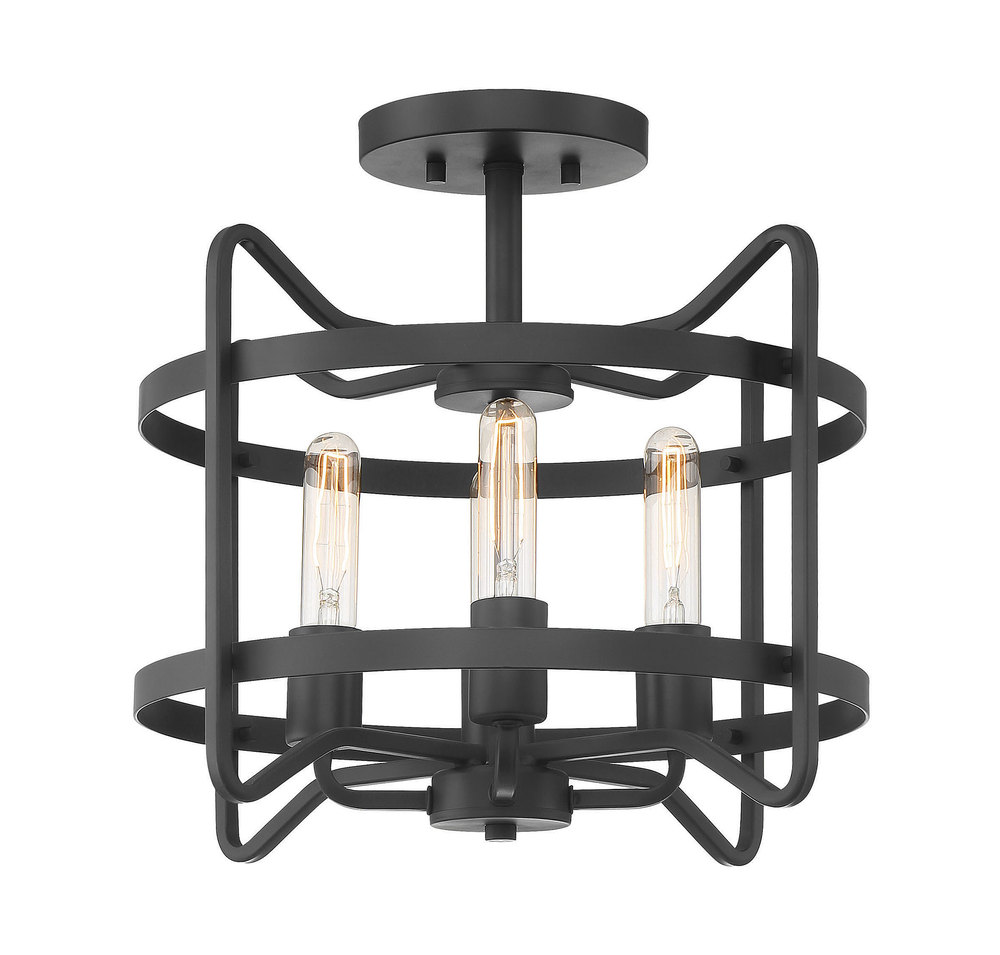 Kent 4-Light Ceiling Light in Matte Black