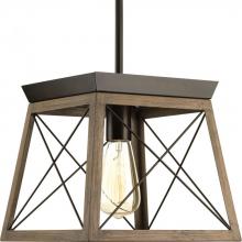  P500041-020 - Briarwood Collection One-Light Antique Bronze Coastal Mini-Pendant Light