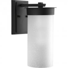  P5625-31 - Hawthorne Collection One-Light Medium Wall Lantern