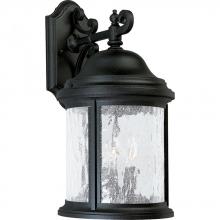 Progress P5650-31 - Ashmore Collection Three-Light Wall Lantern