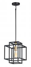  10246BKSBR - Liner-Single Pendant