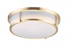  10274WTSBR - Rogue LED-Flush Mount