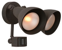 Outdoor Directional Lights