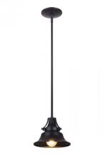  Z4421-MN - Union 1 Light Large Outdoor Pendant in Midnight