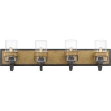  FIN8634AWN - Finch Bath Light