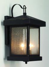 Trans Globe 45641 WB - Santa Cruz 14" Wall Lantern