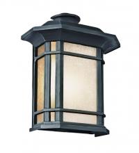  5822-1 BK - San Miguel, Tea Stain Glass, Outdoor Pocket Lantern Wall Light