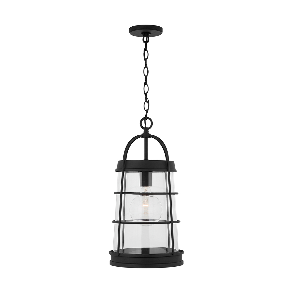 Outdoor 1-Light Outdoor Hanging Lantern