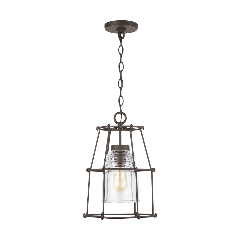 Outdoor 1-Light Outdoor Hanging Lantern