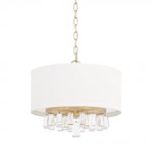 Capital 319741CG-675 - 4 Light Pendant