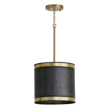 Capital 335611GB - 1 Light Pendant