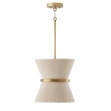 Capital 341211NP - 1 Light Pendant