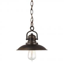 Capital 3797BB - 1 Light Pendant