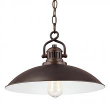  3798BB - 1 Light Pendant