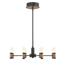  46352-019 - Albany 8 Light Chandelier in Black and Brass