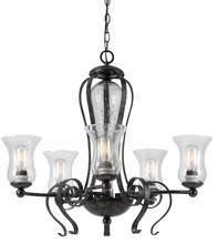  FX-3548/5 - 25" Inch Tall Metal Chandelier in Eternity Finish