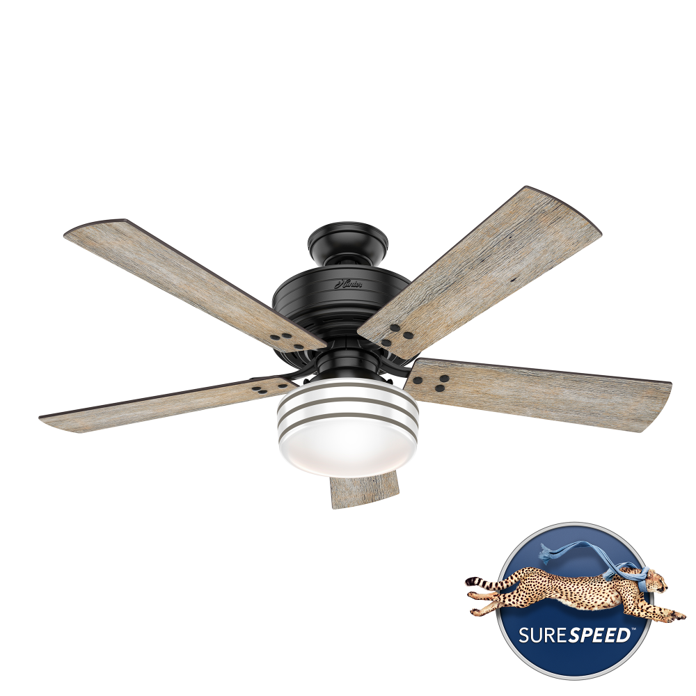 Hunter 52 inch Cedar Key Matte Black Damp Rated Ceiling Fan with LED Light Kit and Handheld Remote