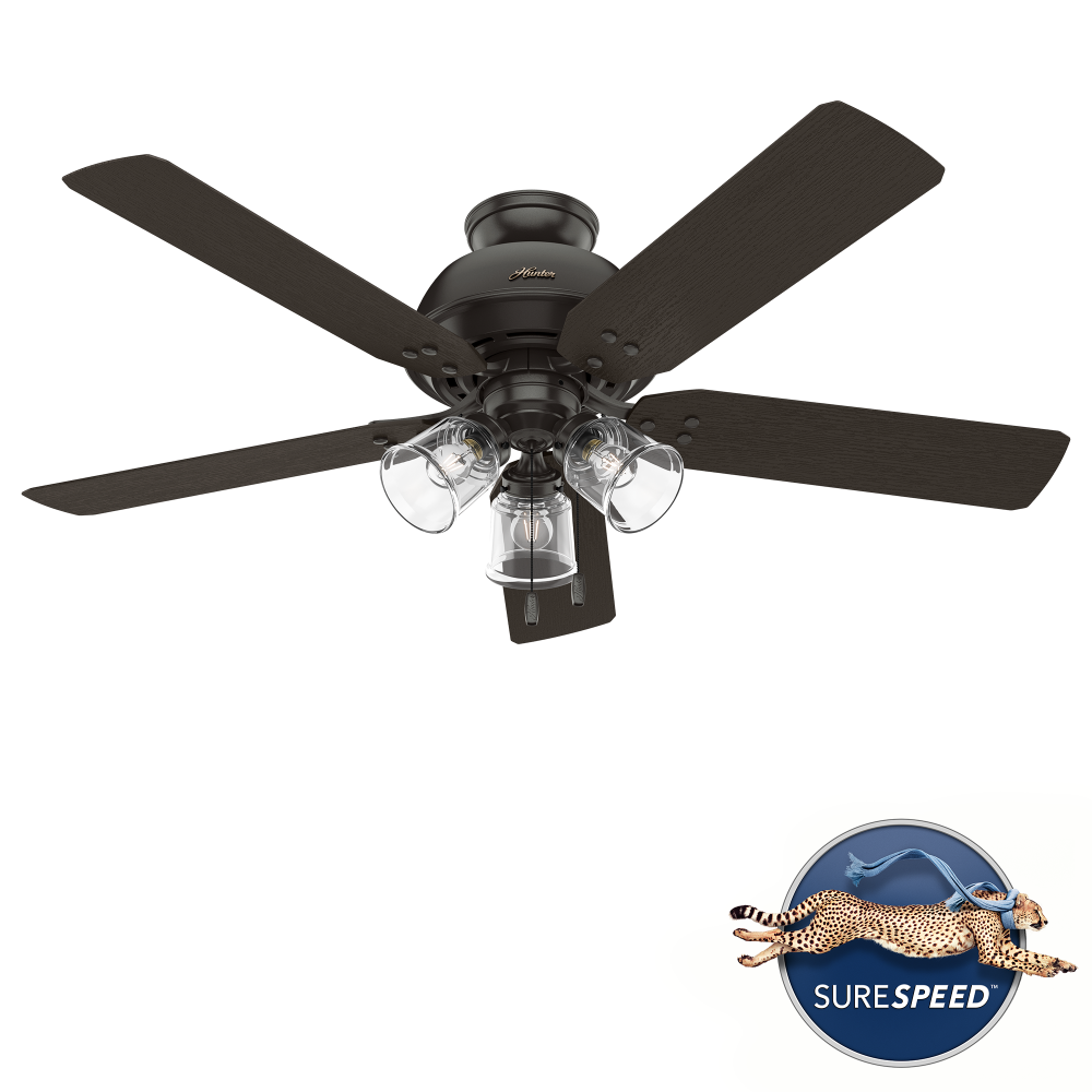 Hunter 52 inch River Ridge Noble Bronze Damp Rated Ceiling Fan with LED Light Kit and Pull Chain