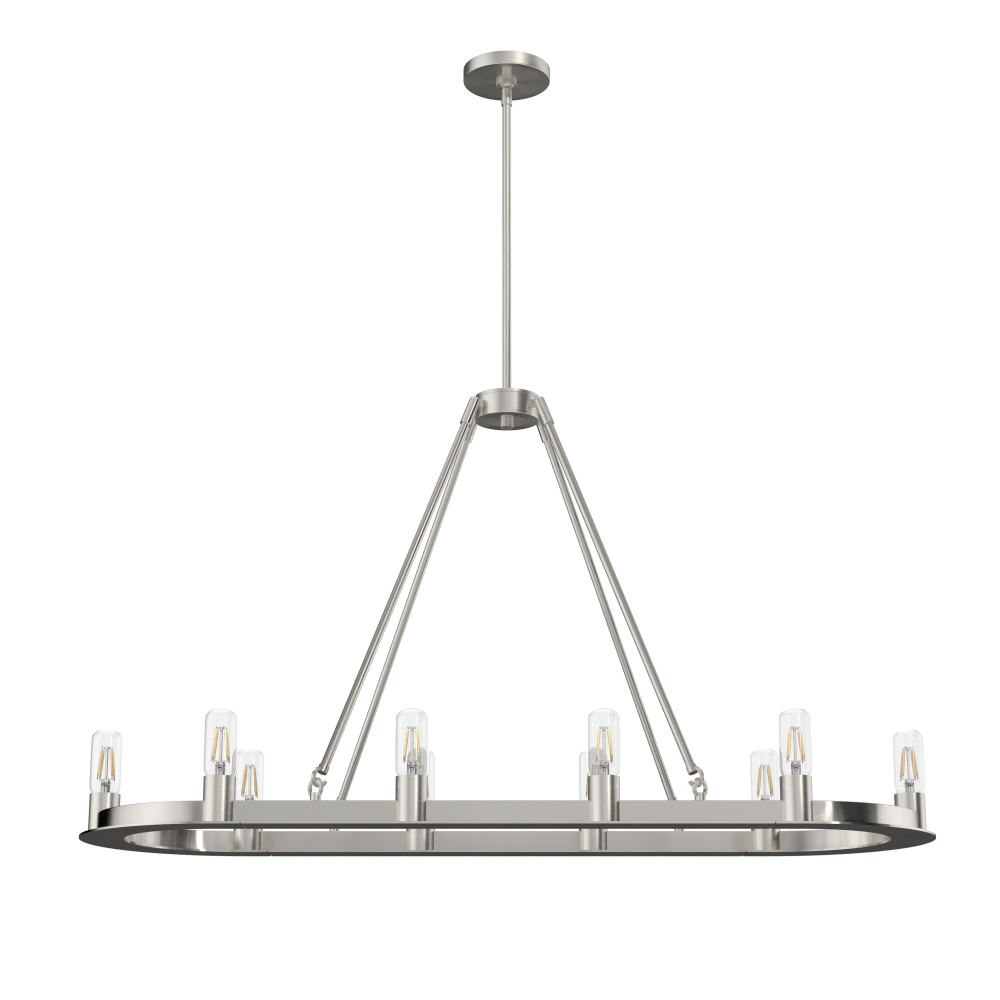 Hunter Saddlewood Brushed Nickel 10 Light Chandelier Ceiling Light Fixture