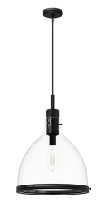 Hunter 48051 - Hunter Van Nuys Matte Black with Clear Glass 1 Light Pendant Ceiling Light Fixture