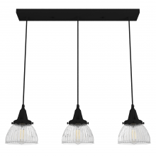 Hunter 19141 - Hunter Cypress Grove Natural Black Iron with Clear Holophane Glass 3 LT Pendant Cluster