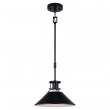  P0379 - Canton 11.5-in. Pendant Black and Matte White