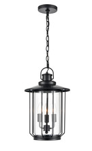  2697-PBK - Outdoor Hanging Lantern