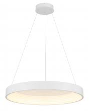  P5555-44B-L - Conc - LED 24" Pendant