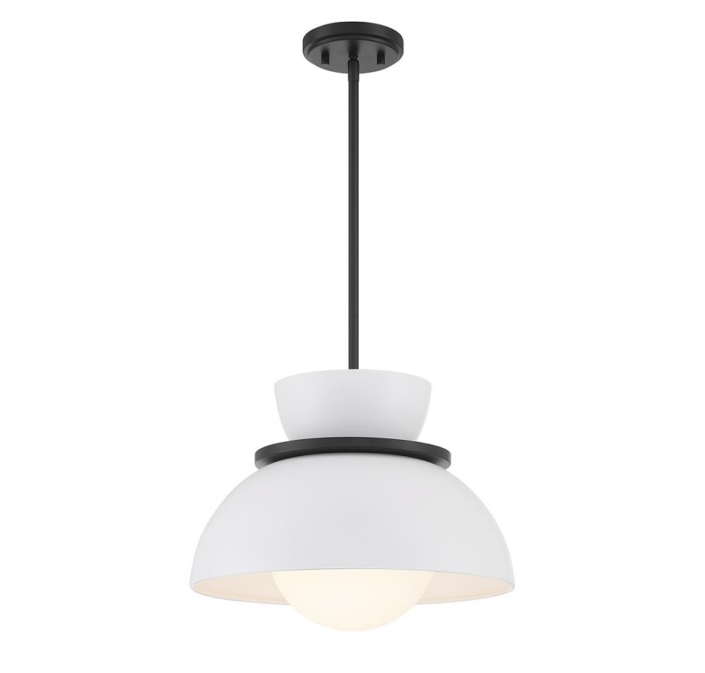 1-Light Pendant in Matte Black