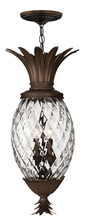 Hinkley 2222CB - Large Hanging Lantern