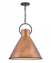 Hinkley 3555AP - Large Pendant