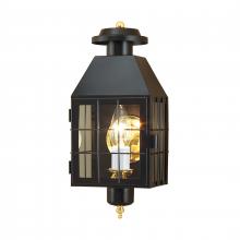  1059-BL-CL - American Heritage 16.5'' High 1-Light Outdoor Sconce - Black