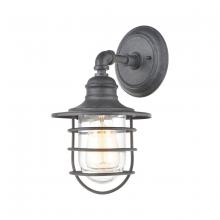 ELK Home 45222/1 - Vandon 1-Light Sconce in Aged Zinc with Clear Glass