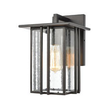 ELK Home 46691/1 - SCONCE